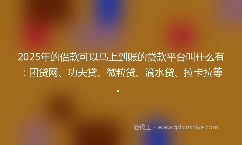 2025年的借款可以马上到账的贷款平台叫什么有：团贷网、功夫贷、微粒贷、滴水贷、拉卡拉等。