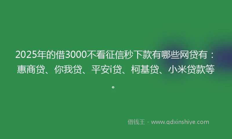 2025年的借3000不看征信秒下款有哪些网贷有:惠商贷、你我贷、平安i贷、柯基贷、小米贷款等。