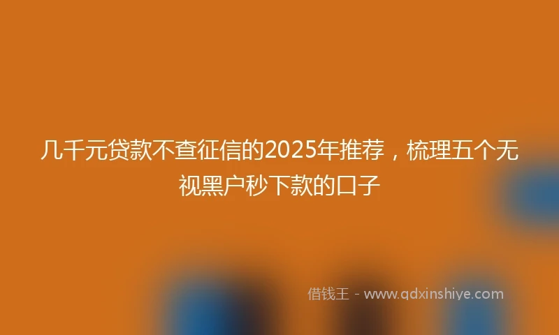 几千元贷款不查征信的2025年推荐，梳理五个无视黑户秒下款的口子