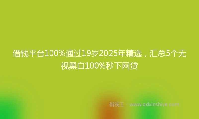 借钱平台100%通过19岁2025年精选，汇总5个无视黑白100%秒下网贷