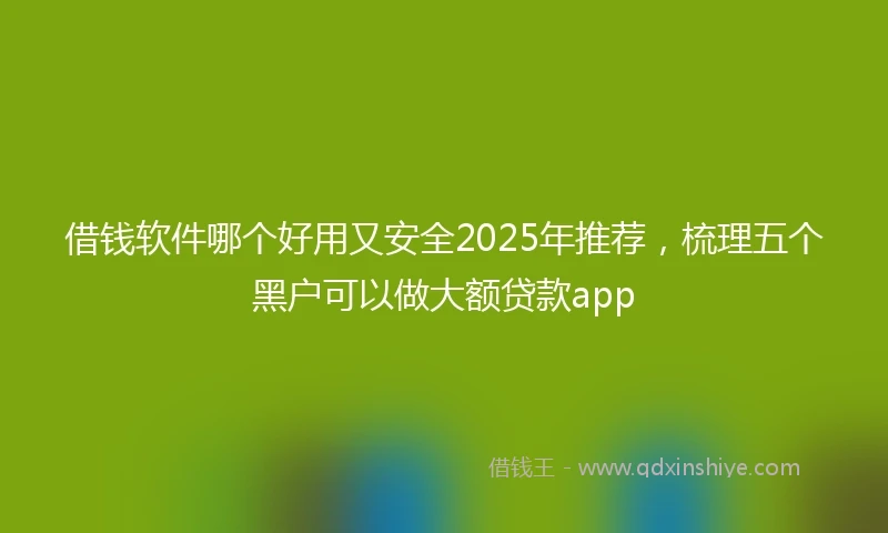借钱软件哪个好用又安全2025年推荐，梳理五个黑户可以做大额贷款app