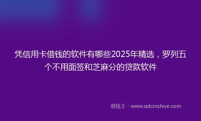凭信用卡借钱的软件有哪些2025年精选，罗列五个不用面签和芝麻分的贷款软件