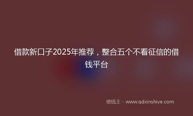 借款新口子2025年推荐，整合五个不看征信的借钱平台