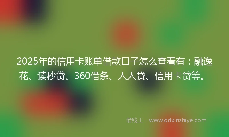 2025年的信用卡账单借款口子怎么查看有:融逸花、读秒贷、360借条、人人贷、信用卡贷等。