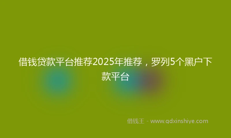 借钱贷款平台推荐2025年推荐，罗列5个黑户下款平台