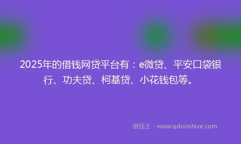 2025年的借钱网贷平台有：e微贷、平安口袋银行、功夫贷、柯基贷、小花钱包等。