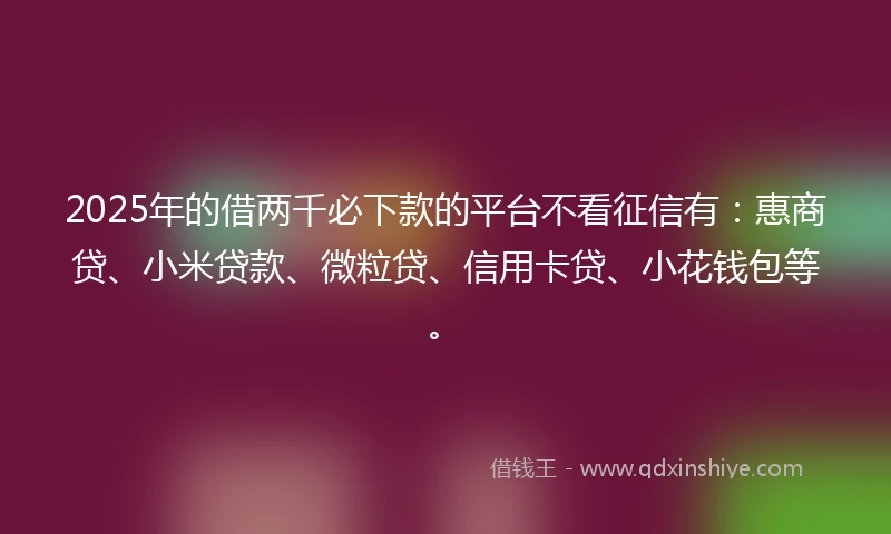 2025年的借两千必下款的平台不看征信有：惠商贷、小米贷款、微粒贷、信用卡贷、小花钱包等。