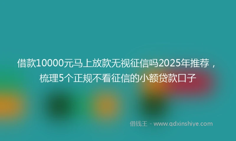 借款10000元马上放款无视征信吗2025年推荐，梳理5个正规不看征信的小额贷款口子