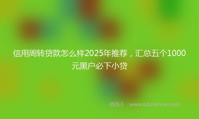 信用周转贷款怎么样2025年推荐，汇总五个1000元黑户必下小贷