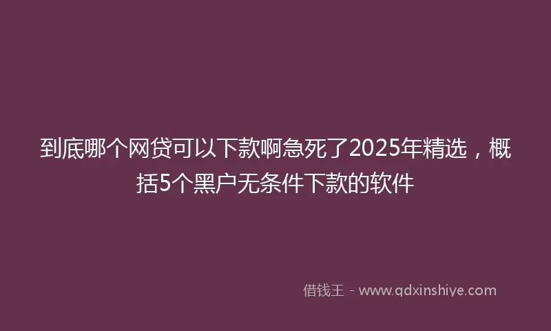 到底哪个网贷可以下款啊急死了2025年精选，概括5个黑户无条件下款的软件