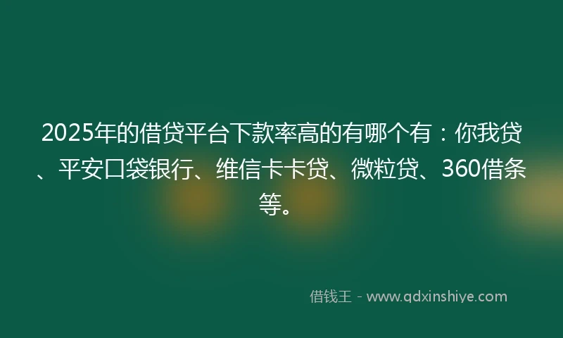 2025年的借贷平台下款率高的有哪个有：你我贷、平安口袋银行、维信卡卡贷、微粒贷、360借条等。