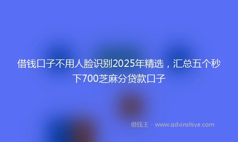 借钱口子不用人脸识别2025年精选，汇总五个秒下700芝麻分贷款口子