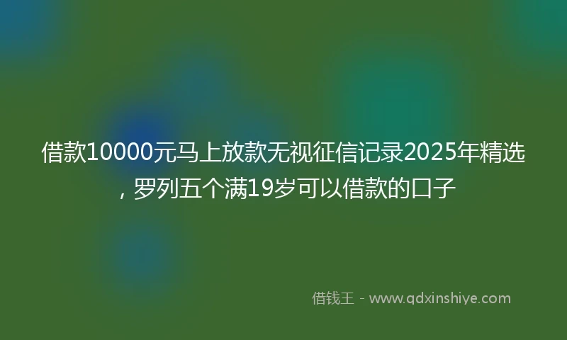 借款10000元马上放款无视征信记录2025年精选，罗列五个满19岁可以借款的口子