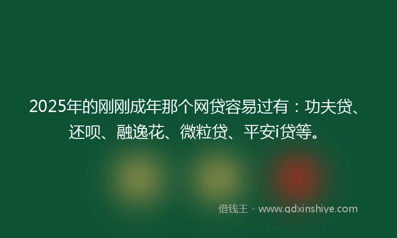 2025年的刚刚成年那个网贷容易过有：功夫贷、还呗、融逸花、微粒贷、平安i贷等。