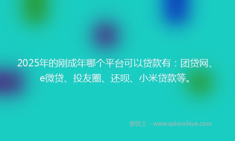 2025年的刚成年哪个平台可以贷款有：团贷网、e微贷、投友圈、还呗、小米贷款等。