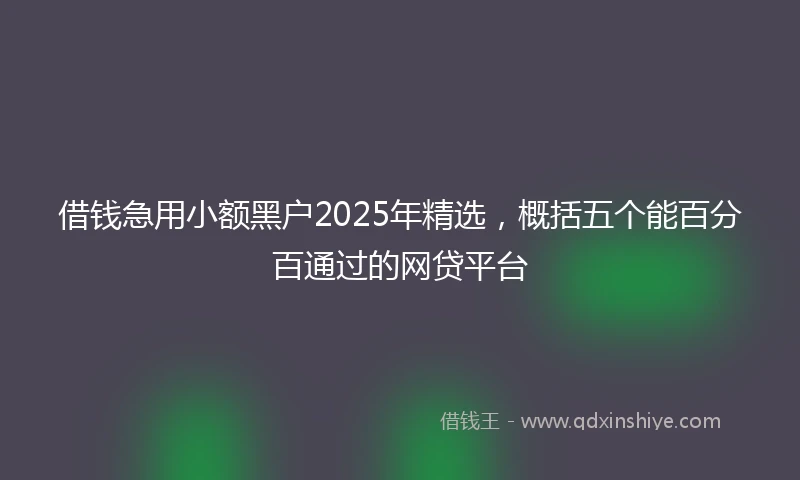 借钱急用小额黑户2025年精选，概括五个能百分百通过的网贷平台