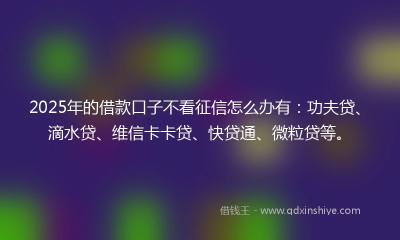 2025年的借款口子不看征信怎么办有：功夫贷、滴水贷、维信卡卡贷、快贷通、微粒贷等。