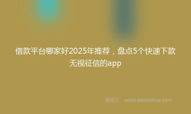 借款平台哪家好2025年推荐，盘点5个快速下款无视征信的app