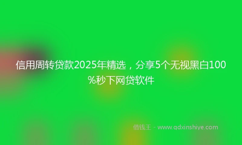 信用周转贷款2025年精选，分享5个无视黑白100%秒下网贷软件