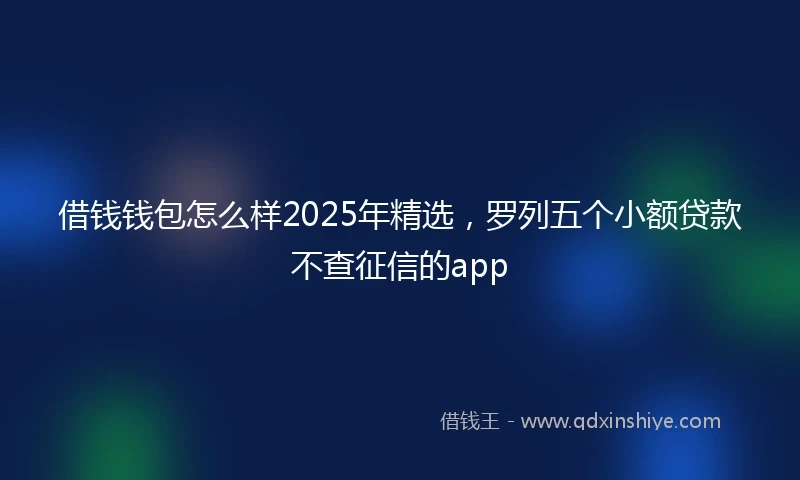 借钱钱包怎么样2025年精选，罗列五个小额贷款不查征信的app