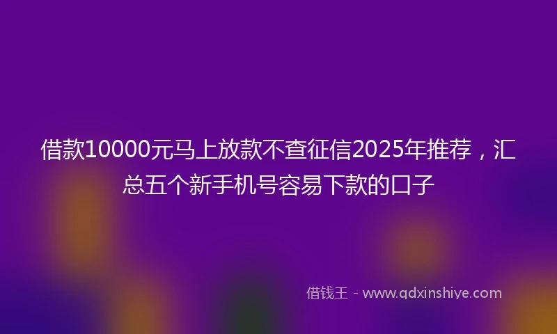 借款10000元马上放款不查征信2025年推荐，汇总五个新手机号容易下款的口子
