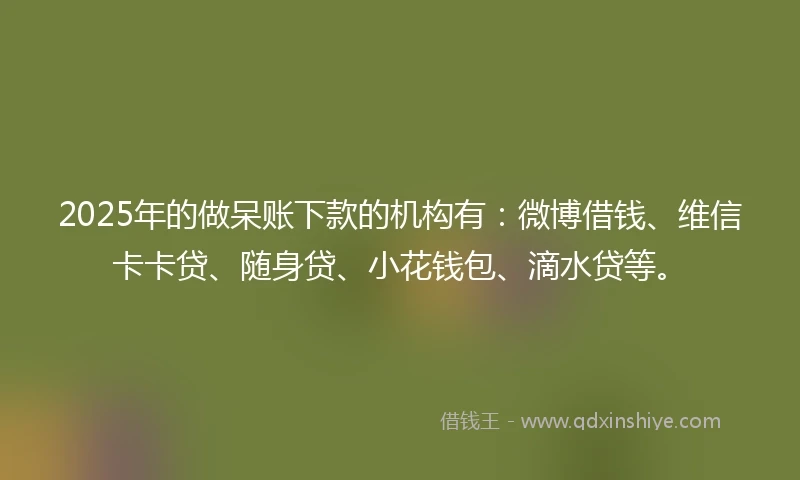 2025年的做呆账下款的机构有：微博借钱、维信卡卡贷、随身贷、小花钱包、滴水贷等。