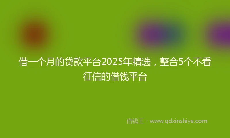 借一个月的贷款平台2025年精选，整合5个不看征信的借钱平台