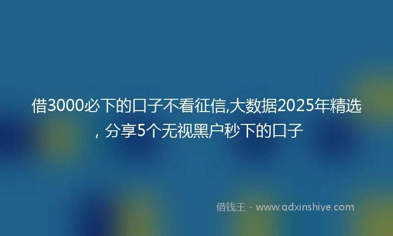 借3000必下的口子不看征信,大数据2025年精选，分享5个无视黑户秒下的口子