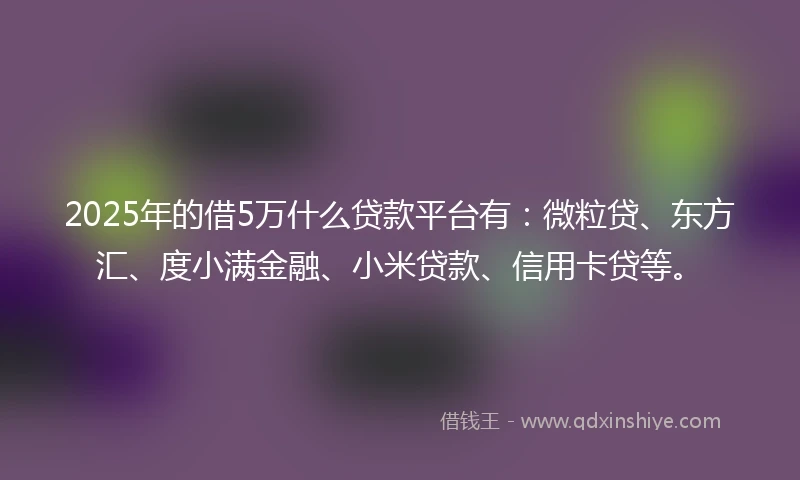 2025年的借5万什么贷款平台有：微粒贷、东方汇、度小满金融、小米贷款、信用卡贷等。