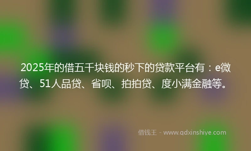 2025年的借五千块钱的秒下的贷款平台有：e微贷、51人品贷、省呗、拍拍贷、度小满金融等。