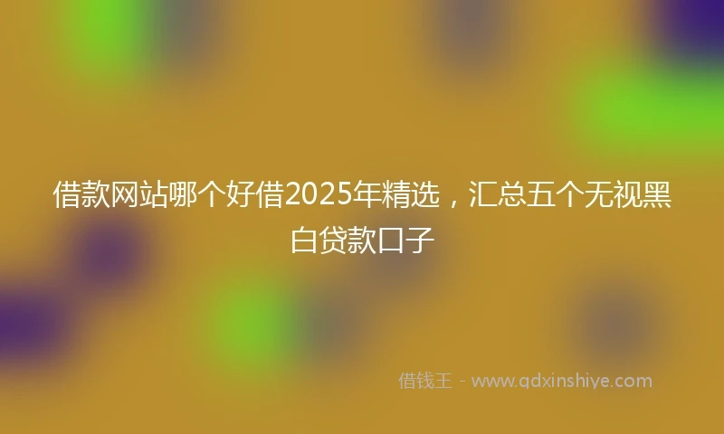 借款网站哪个好借2025年精选，汇总五个无视黑白贷款口子