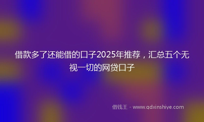 借款多了还能借的口子2025年推荐，汇总五个无视一切的网贷口子