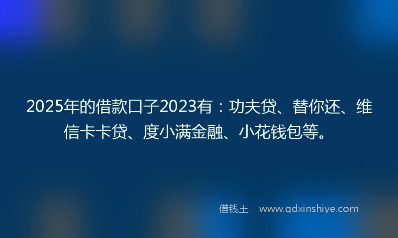 2025年的借款口子2023有：功夫贷、替你还、维信卡卡贷、度小满金融、小花钱包等。