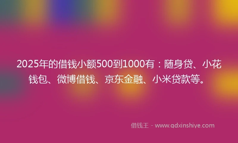 2025年的借钱小额500到1000有：随身贷、小花钱包、微博借钱、京东金融、小米贷款等。
