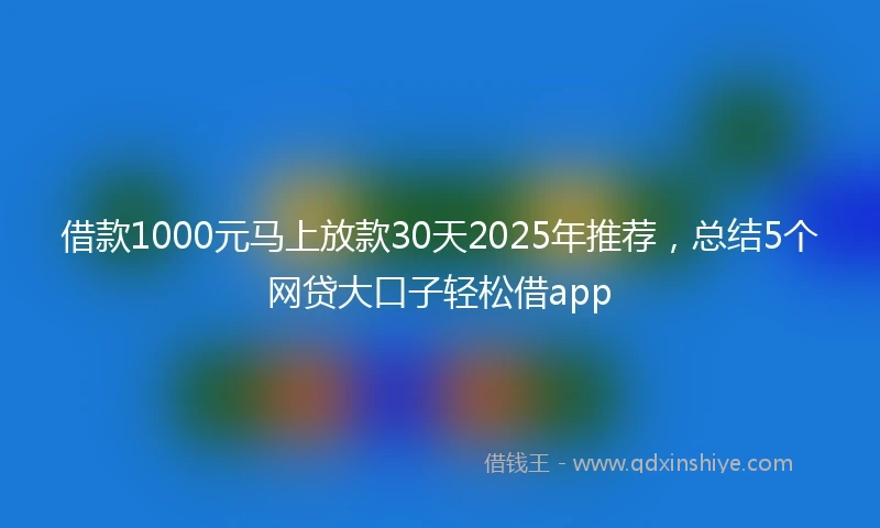 借款1000元马上放款30天2025年推荐，总结5个网贷大口子轻松借app