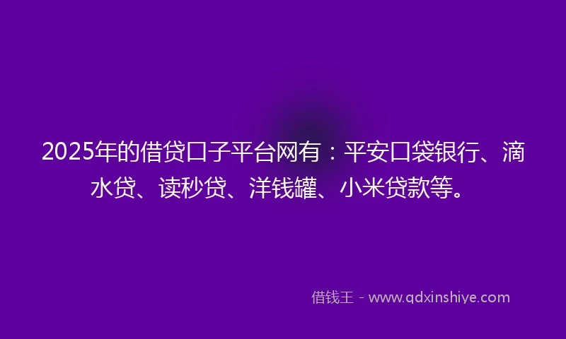 2025年的借贷口子平台网有：平安口袋银行、滴水贷、读秒贷、洋钱罐、小米贷款等。