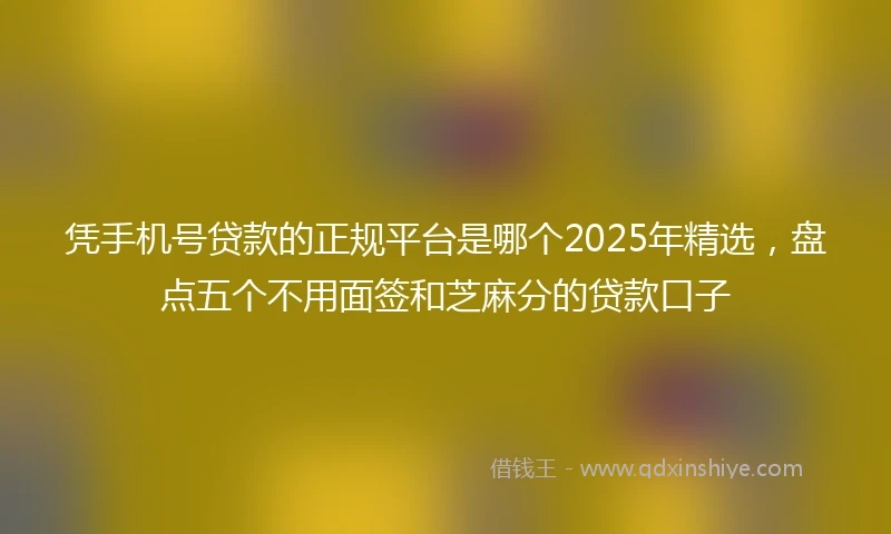 凭手机号贷款的正规平台是哪个2025年精选，盘点五个不用面签和芝麻分的贷款口子