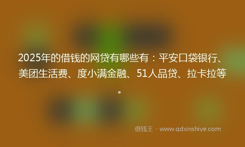 2025年的借钱的网贷有哪些有：平安口袋银行、美团生活费、度小满金融、51人品贷、拉卡拉等。