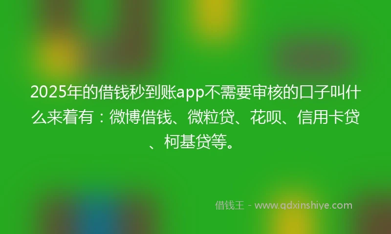 2025年的借钱秒到账app不需要审核的口子叫什么来着有：微博借钱、微粒贷、花呗、信用卡贷、柯基贷等。