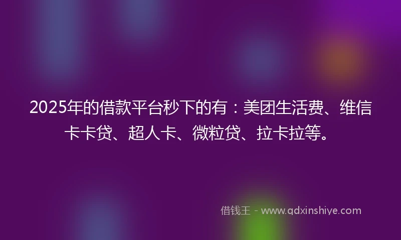 2025年的借款平台秒下的有：美团生活费、维信卡卡贷、超人卡、微粒贷、拉卡拉等。