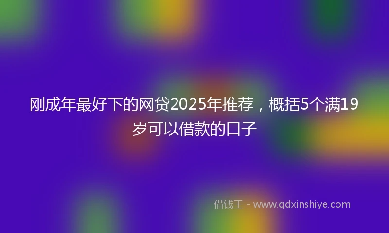 刚成年最好下的网贷2025年推荐，概括5个满19岁可以借款的口子