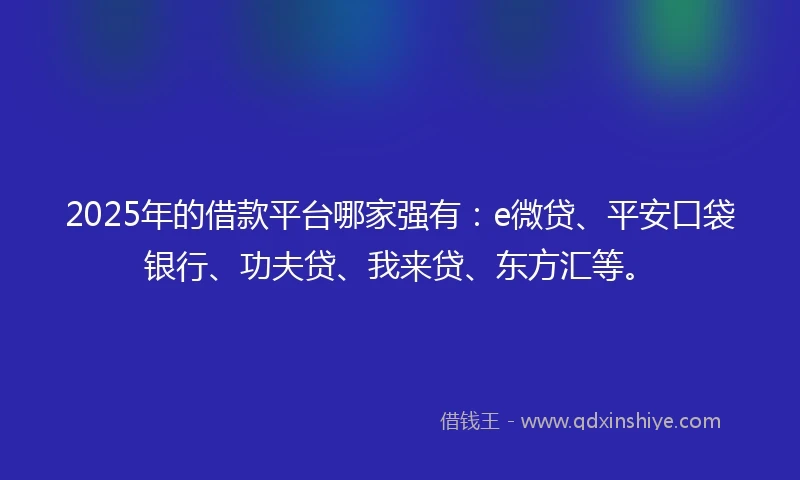 2025年的借款平台哪家强有：e微贷、平安口袋银行、功夫贷、我来贷、东方汇等。