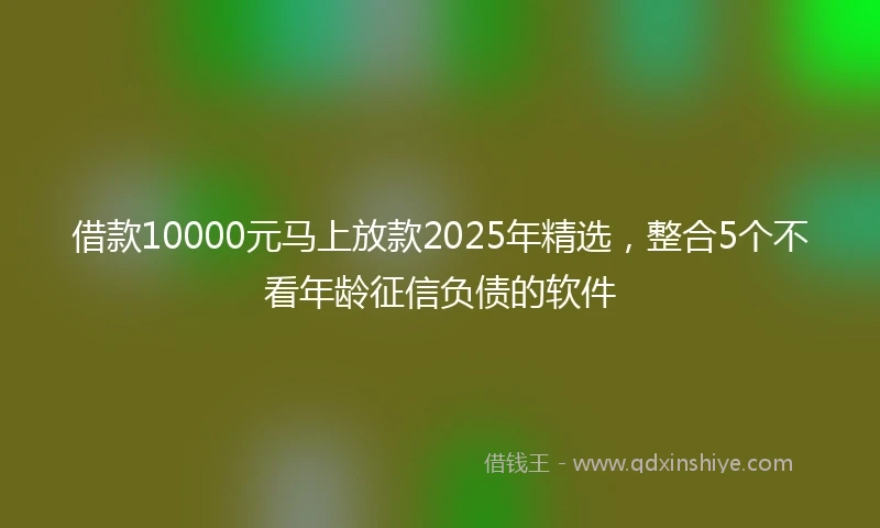 借款10000元马上放款2025年精选，整合5个不看年龄征信负债的软件