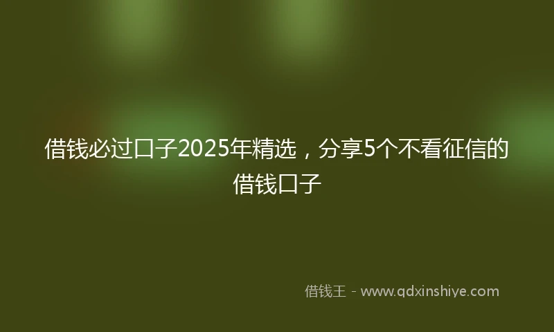 借钱必过口子2025年精选，分享5个不看征信的借钱口子