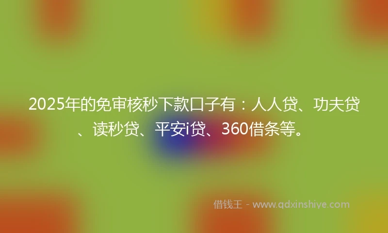 2025年的免审核秒下款口子有：人人贷、功夫贷、读秒贷、平安i贷、360借条等。