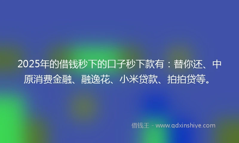 2025年的借钱秒下的口子秒下款有：替你还、中原消费金融、融逸花、小米贷款、拍拍贷等。