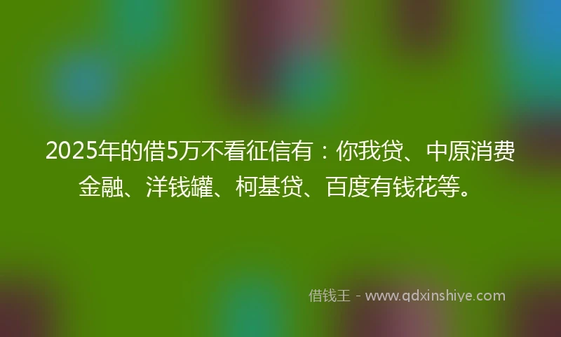 2025年的借5万不看征信有：你我贷、中原消费金融、洋钱罐、柯基贷、百度有钱花等。