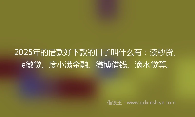 2025年的借款好下款的口子叫什么有：读秒贷、e微贷、度小满金融、微博借钱、滴水贷等。