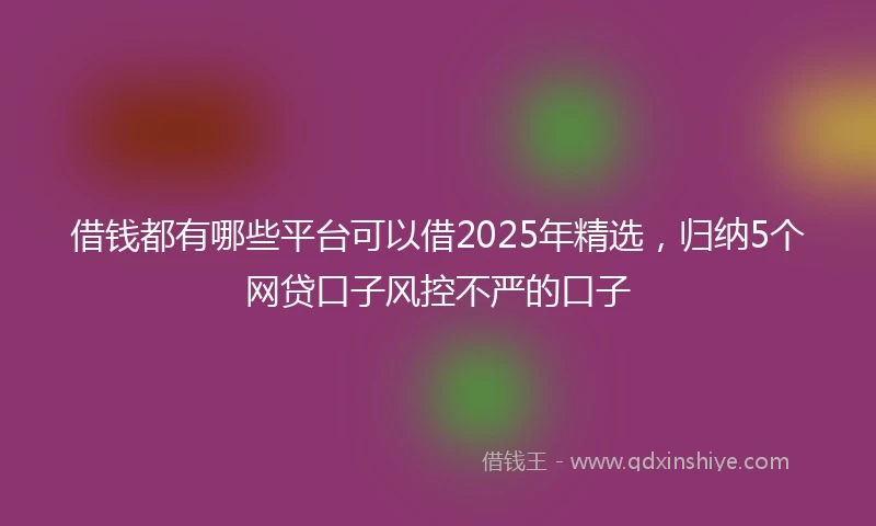 借钱都有哪些平台可以借2025年精选，归纳5个网贷口子风控不严的口子