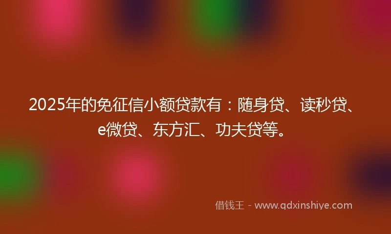 2025年的免征信小额贷款有：随身贷、读秒贷、e微贷、东方汇、功夫贷等。